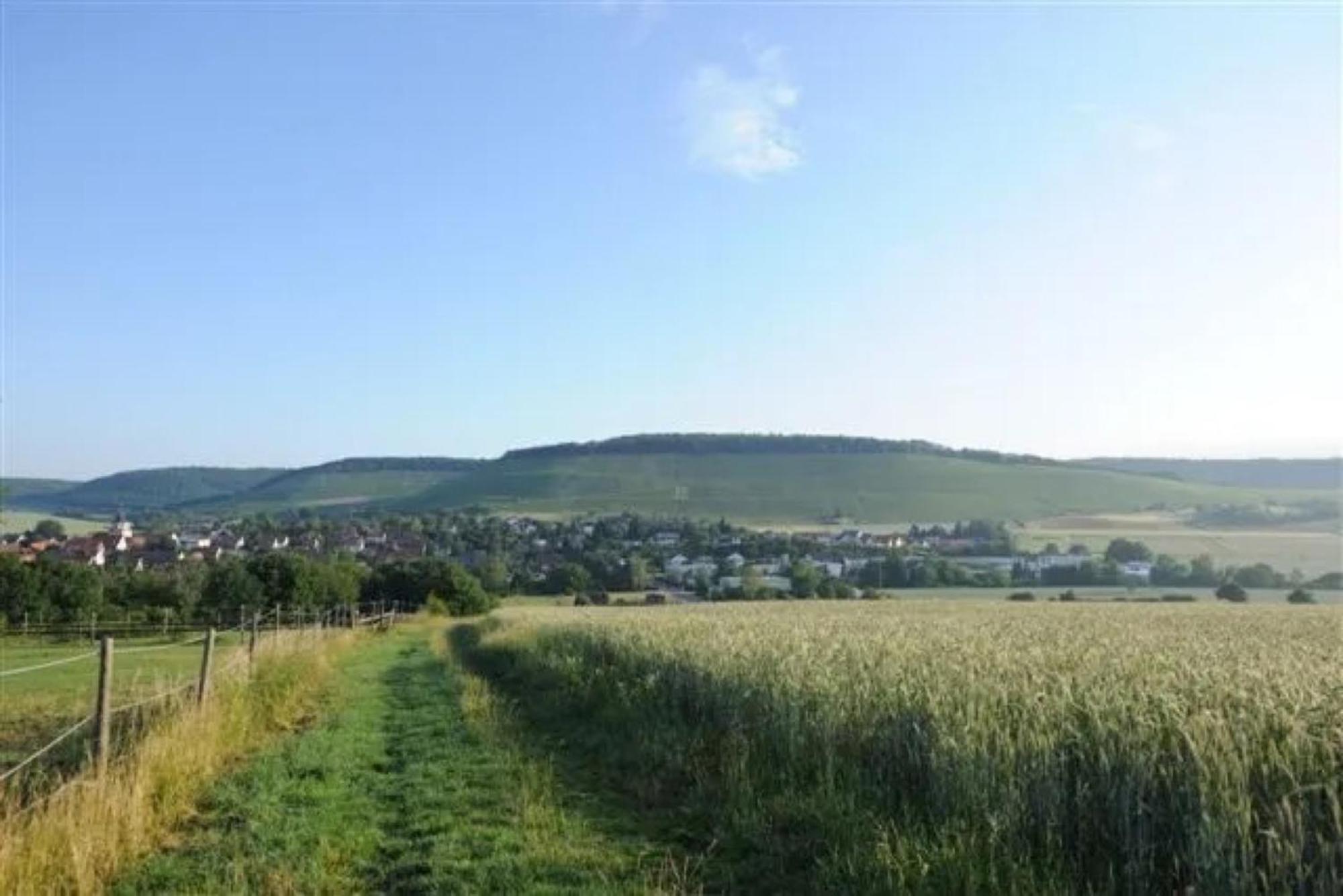 Landpension Wachtkopf Vaihingen an der Enz Luaran gambar