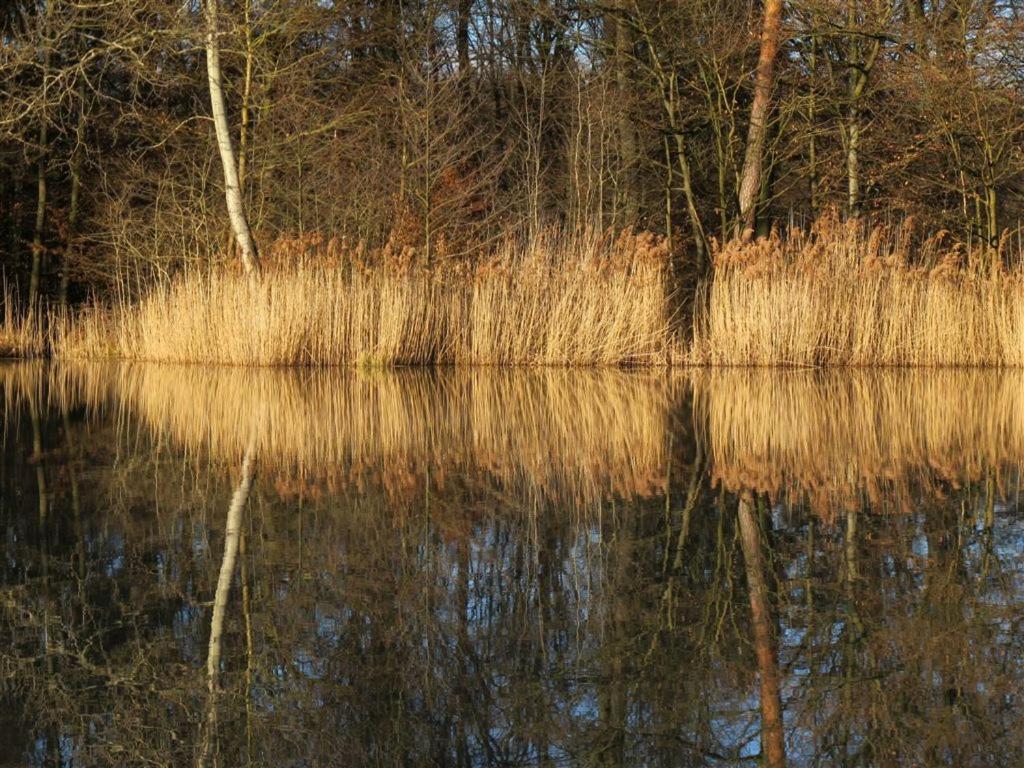Landpension Wachtkopf Vaihingen an der Enz Luaran gambar